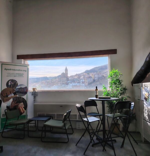 Reserva espacio coworking (Altillo) - Media jornada